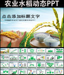 农业生产水稻播种新农村PPT