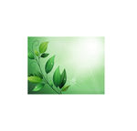 绿色植物叶子节日贺卡相框设计