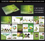 绿色大气茶叶画册设计模板