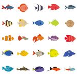 海洋鱼类矢量卡通素材