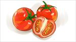 手绘番茄西红柿