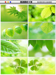 绿色树叶水滴环保草地海报背景图