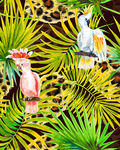 手绘热带植物鹦鹉豹纹服装印花图