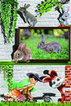 3D立体画兔子