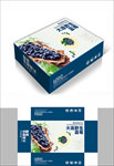 蓝莓简约高档包装箱包装盒设计