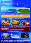 马来西亚热浪岛旅游海报DM单