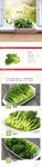 生鲜鸡毛菜蔬菜详情创意海报设计