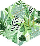 小清新六边形绿色植物叶子装饰画
