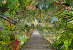 抽象艺术热带雨林小桥动物背景墙