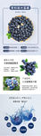 智利进口蓝莓水果产品海报长图