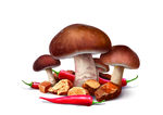 蘑菇辣椒肉丁手绘