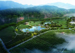 生态茶场规划景观效果图