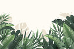 热带植物插画素材