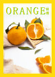 水果橙海报