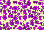 黄底紫花