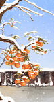 大寒柿子树雪景插画