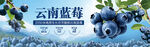 藍莓燈箱海報