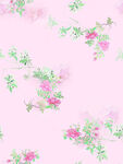 爛花 