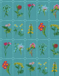 刺繡花