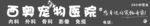 寵物
