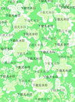 亂花
