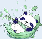 熊貓