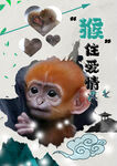 12生肖之猴海報