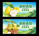 梨
