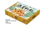 枇杷禮盒包裝