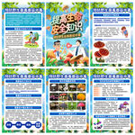 預防野生菌毒蘑菇中毒
