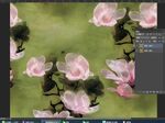 電腦屏幕上的花卉圖像編輯
