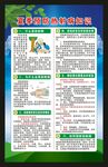 預防熱射病知識海報