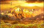 背靠金山