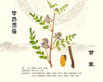 甘草中草藥甘草