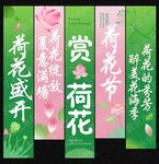 荷花節(jié)