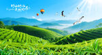 茶山