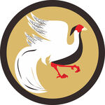 白鷴圖案白鷴LOGO白鷴圖標(biāo)
