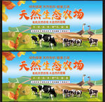 養(yǎng)殖生態(tài)農(nóng)場(chǎng)展板