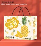 菠蘿禮盒