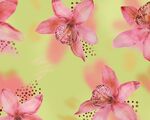 手繪花