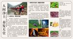 養(yǎng)發(fā)天堂