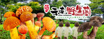 野生菌廣告
