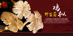 野生菌雞樅