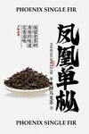 鳳凰單樅茶葉茶飲宣傳海報(bào)
