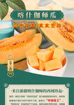 新疆特產(chǎn)吐魯番喀什伽師瓜詳情頁(yè)