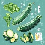 清新手繪西葫蘆蔬菜插畫