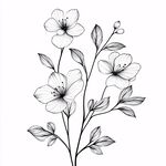 黑白花卉插畫 線條優美