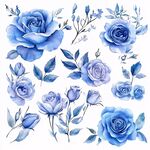 藍(lán)色水彩玫瑰花卉素材