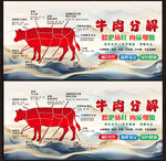 牛肉分解圖