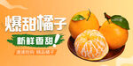 橘子 粑粑柑